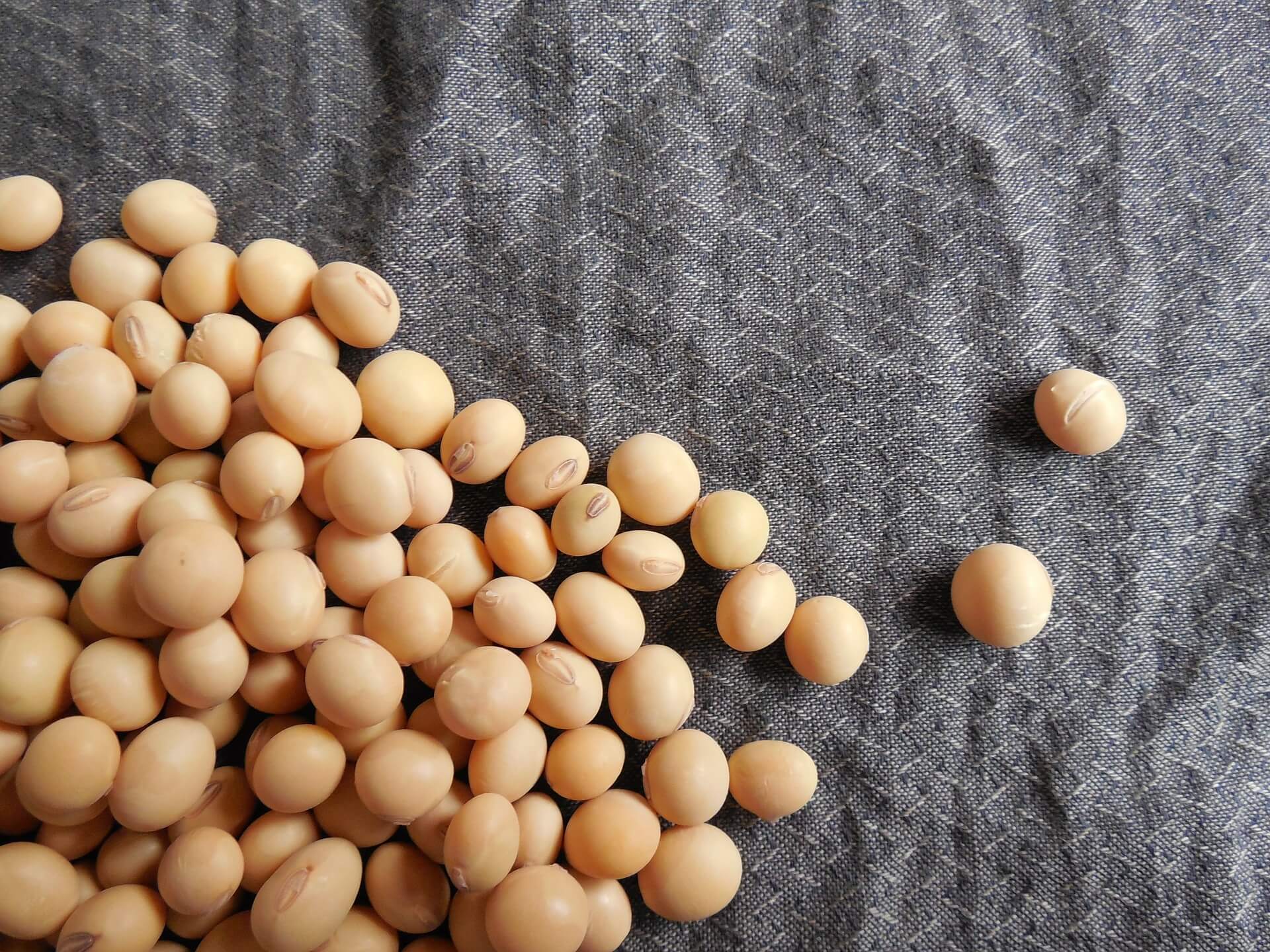 soybeans-182295_1920 (1)
